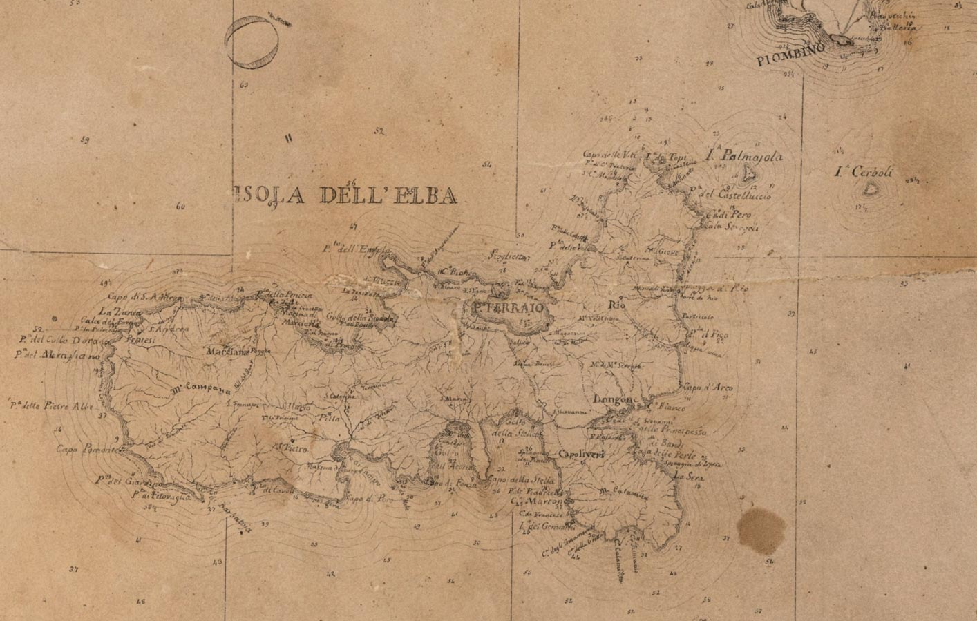 Botanica e cartografia: online i manoscritti di Micheli e la Carta Geometrica di Inghirami