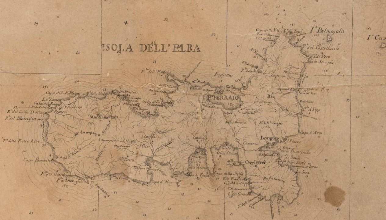 Botanica e cartografia: online i manoscritti di Micheli e la Carta Geometrica di Inghirami